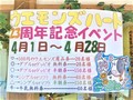 23周年記念くじ引き✩