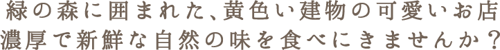 緑の森に囲まれた、黄色い建物のかわいいお店　濃厚で新鮮な自然の味を食べにいきませんか？