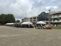 リラ冷え