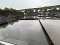 横浜Now