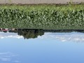 いつ振り