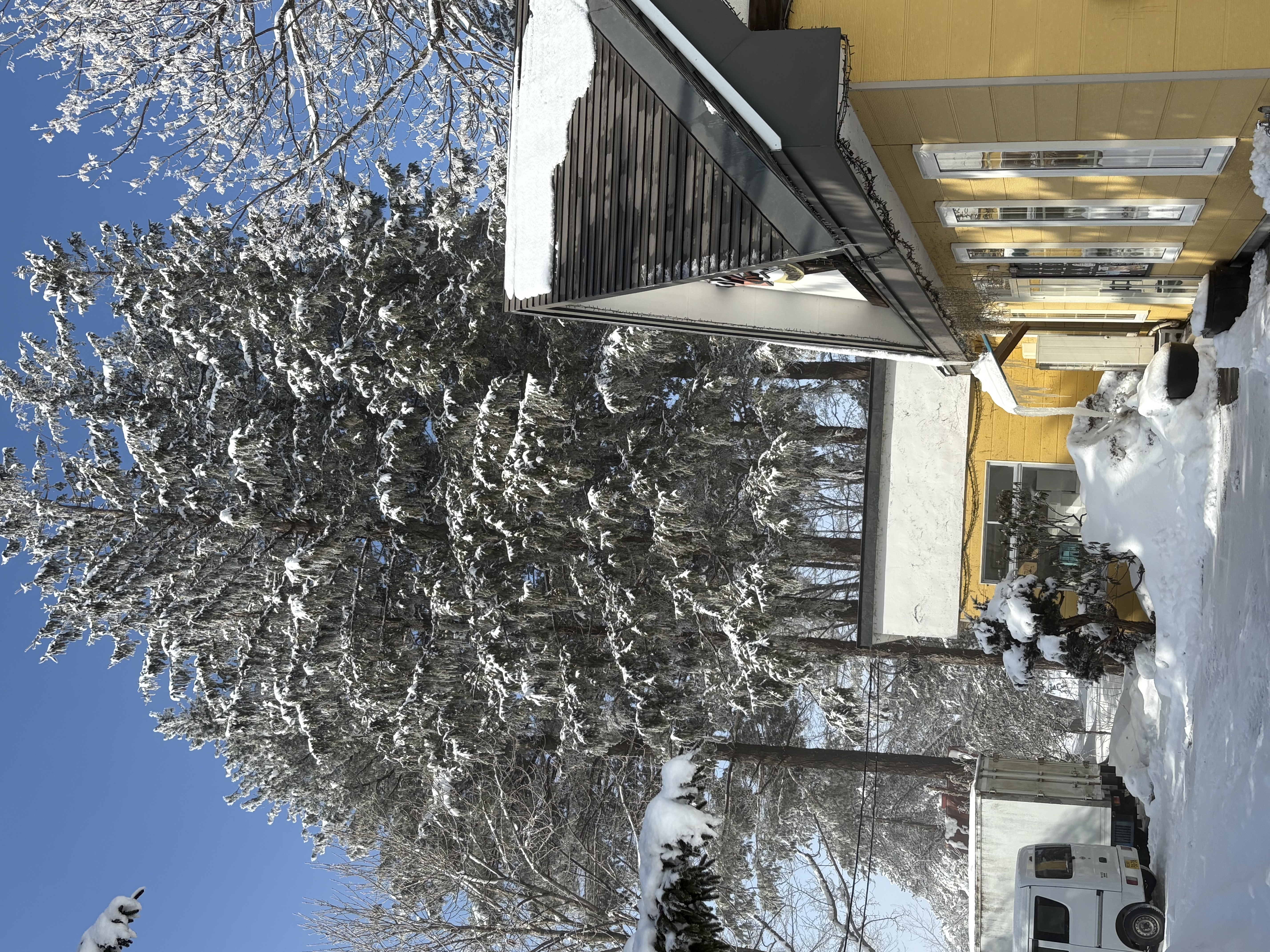 IMG_5017.jpeg