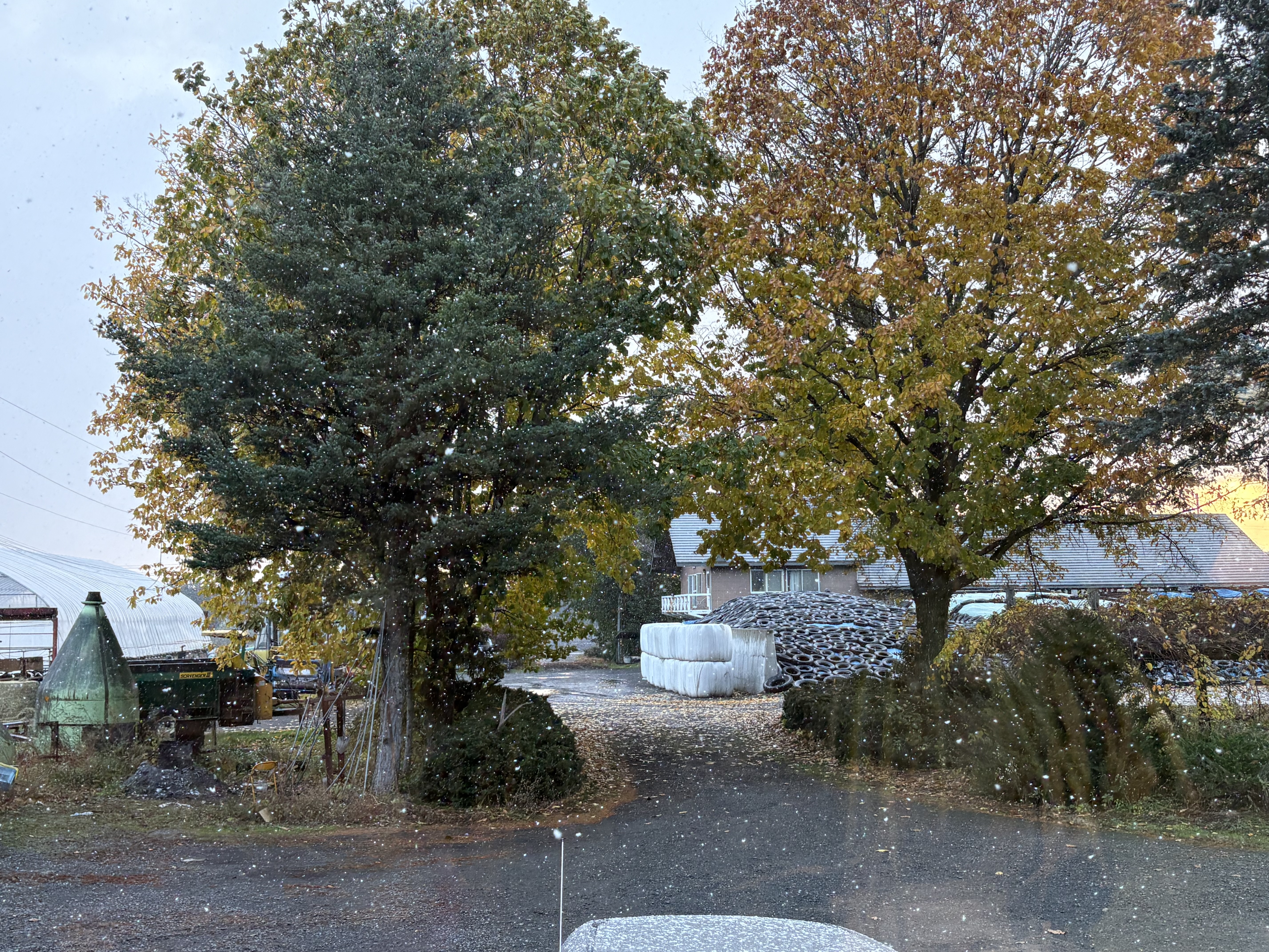 IMG_8576.jpeg